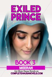 EXILED PRINCE BOOK 3 